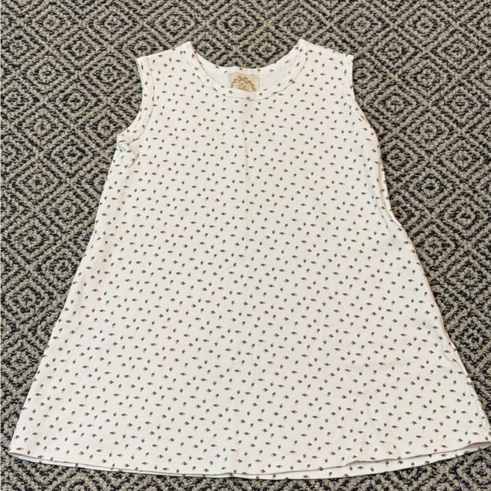 🎉 NWOT 🎉 TBBC Sz 5 Sleeveless White Floral Dress